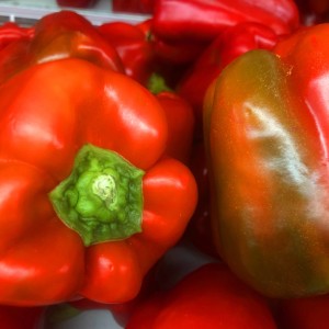 Capsicum, peppers, chillis and food travels in Slovenia with Laurie May