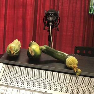 Radio Zucchini and veggie patches