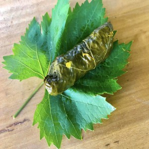 Dolmades and Vine Leaves