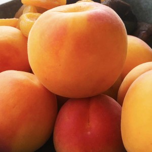 Apricot Season