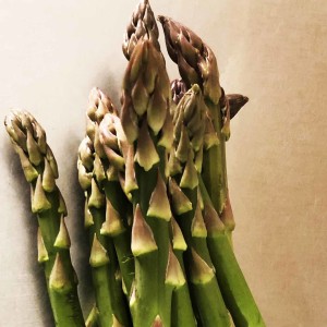 Asparagus