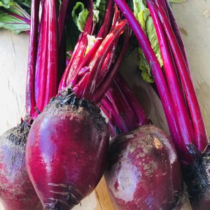 The wonderful world of Beetroot