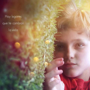 (Gratis@2019) Cuernavaca en español pelicula completa audio latino