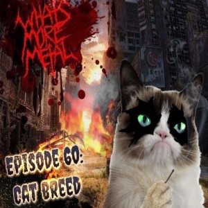 Episode 60 - Jackets & House Cats