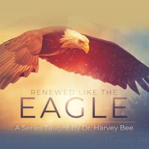 Bared On Eagles Wings 07.31.22 10 AM