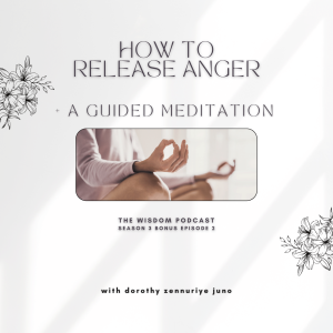 How to Release Anger + Guided Meditation | The WISDOM podcast | S3 Bonus Episode 2