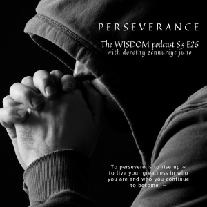 Perseverance | The WISDOM podcast | S3 E26