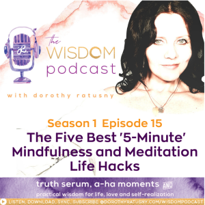 The Five Best ’5-Minute’ Mindfulness and Meditation Life Hacks | The WISDOM podcast | Season 1 Episode 15