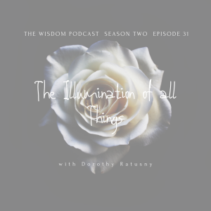 THE ILLUMINATION OF ALL THINGS  |  The WISDOM podcast  |  S2 E31