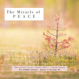 The Miracle of PEACE + A Meditation Experience for Inner Peace | The WISDOM podcast  |  S2 E40
