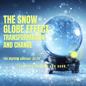 The Snow Globe Effect: Transformation and Change | ‘ask dorothy‘ | A Real Life Client Story | The WISDOM podcast  | S3 E
