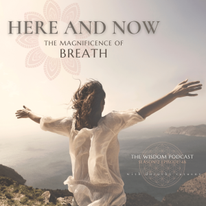 ’Here and Now’  | The WISDOM podcast  | S2 E48