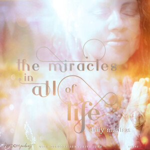 The Miracles In All of Life ~ Daily Mantras  | The WISDOM podcast  |  S4 E42