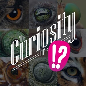 49: 👁️The Curiosity of Sight. How eyes work and how we discovered that.