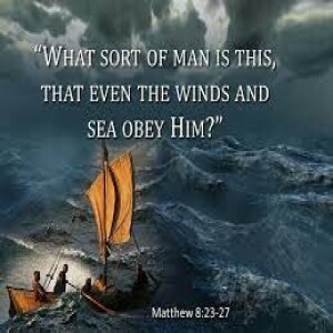Matthew 8