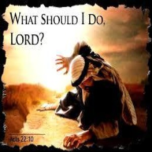 Acts 22