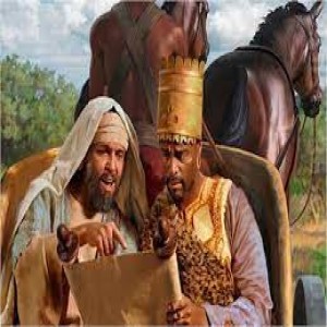 Acts 8