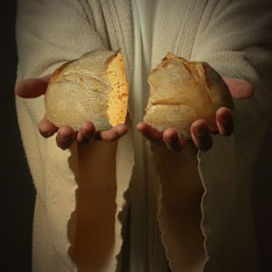 John 6