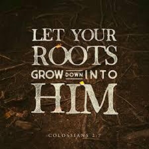 Colossians 2