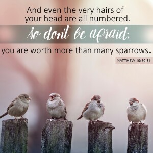 Matthew 10