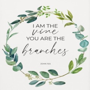John 15