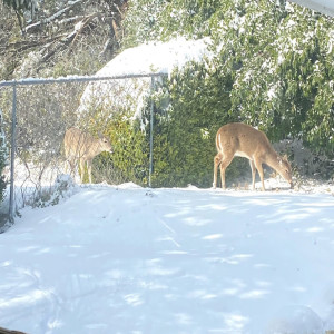 Update ~ from the Big Freeze to the Big Thaw
