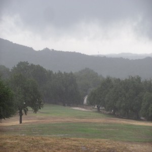 Pausing to enjoy the Rain ...