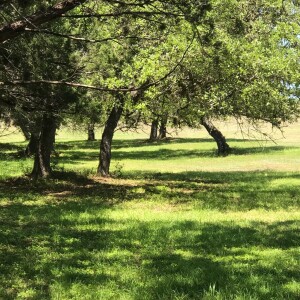 New Podcast withfor July 1 2023 with Breathing Exercise and Meditation