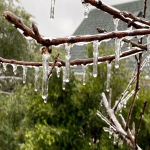 Sunday Meditation Podcast ~ January 15 2022 Remembering how to be more Playful and Creative