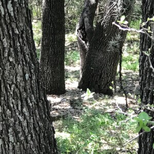 Summer Meditation for Mystics July 15 2023