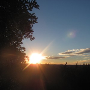 Friday Evening Sunset ...