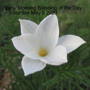 Early Morning Blessing of the Day ~ Saturday May 8 2021