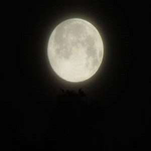 Sunday Morning Meditation ~ December 5 2021 A Measure of Compassion for Ourselves and Others Works Well