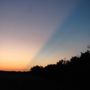 Sunday Meditation Podcast February 27 2022 Meditation for Compassion and Healing