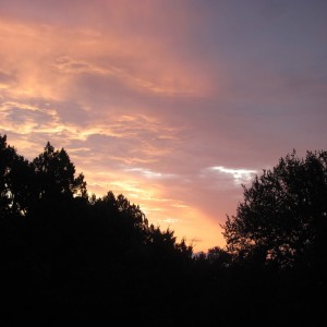 Late Sunday Afternoon Meditation  April 25 2021