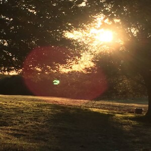 Summer Meditations for Mystics ~ July 22 2023