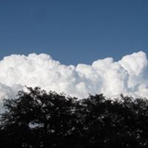 Sunday Morning Walking Meditation November 8 2020
