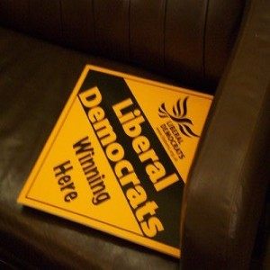 What are the Libdems for?