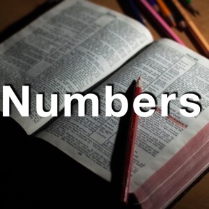Numbers Wk 13 Feb 19 2024 -- Chapters 28 - 30