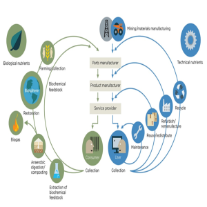 Technical & Biological Cycles in a Sustainable Circular Economy