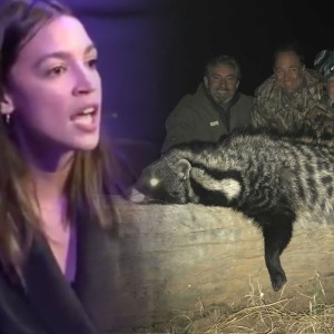 The Civet, SARS Song, White Worries in USA, Puerto Rico Corruption (Wed 1/22/20)
