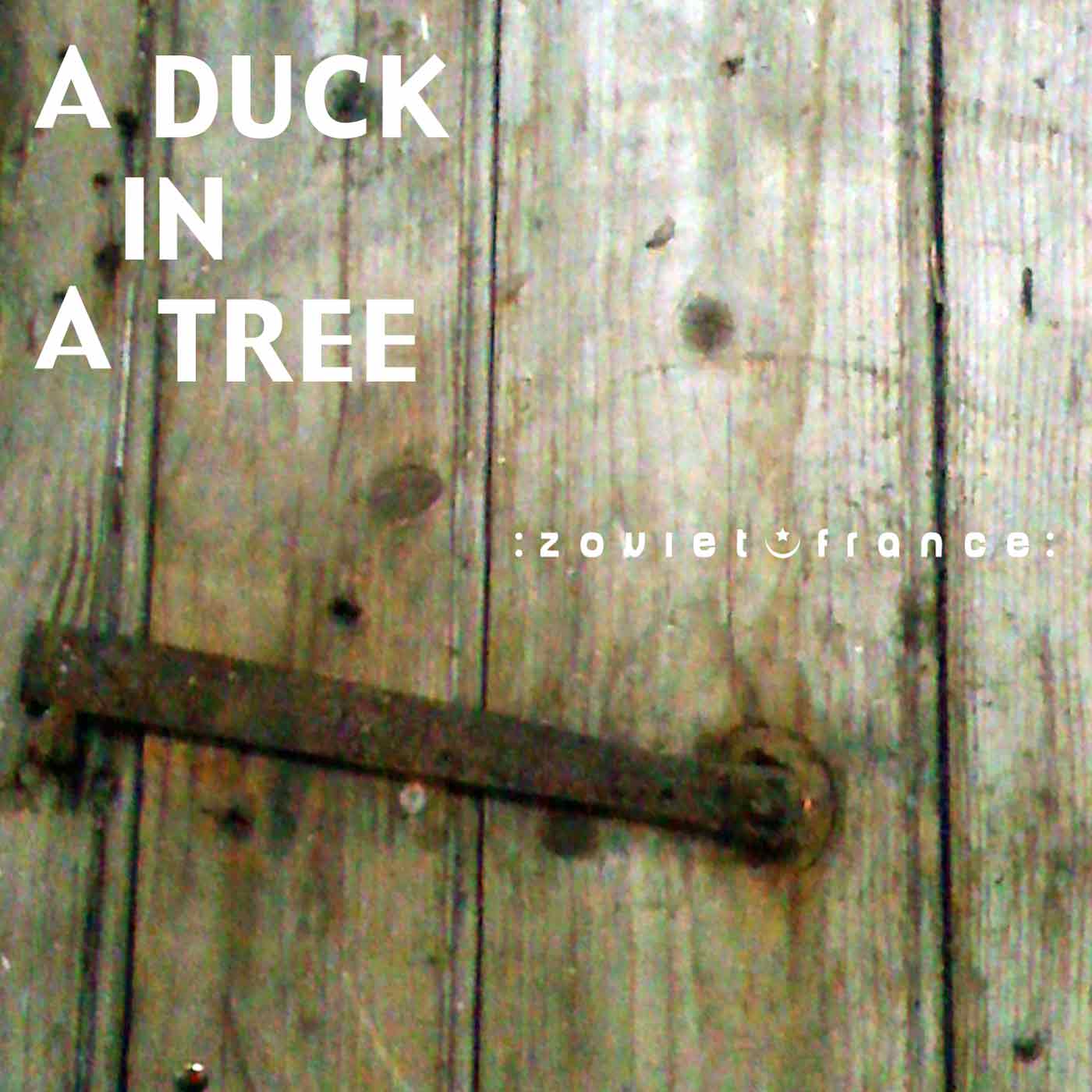 A Duck in a Tree 2012-07-28 | A Knife Made of Salt