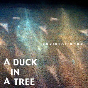 A Duck in a Tree 2012-08-18 | Standing Next to a Mountain