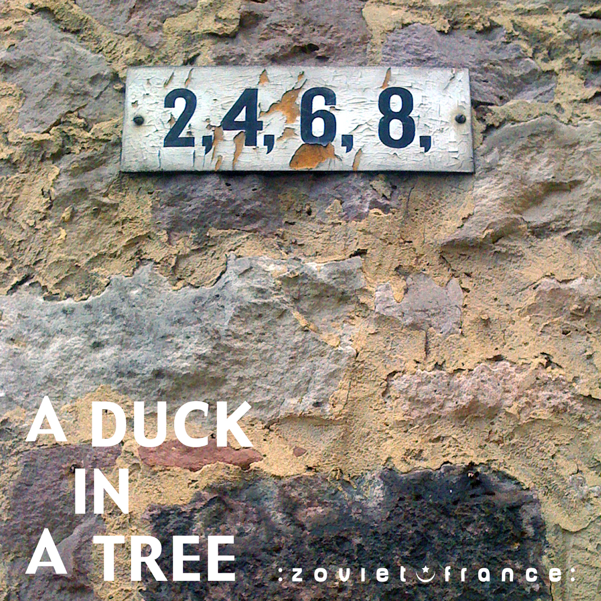 A Duck in a Tree 2012-10-13 | Nine