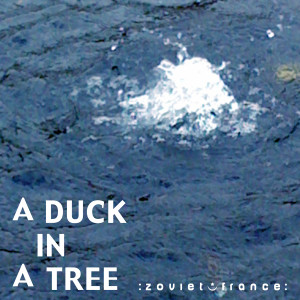 A Duck in a Tree 2012-10-20 | Sustained with Silence and Water