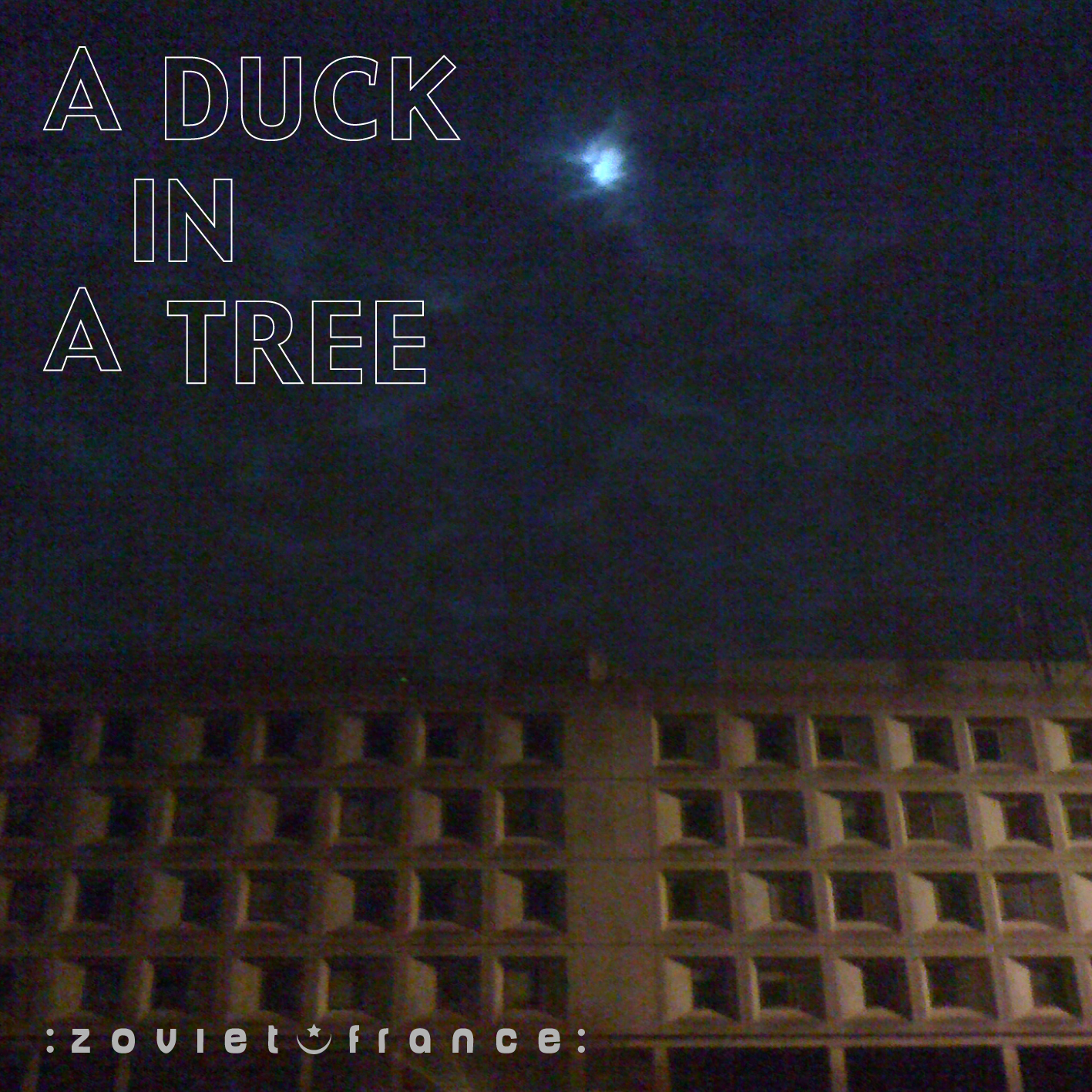 A Duck in a Tree 2012-11-03 | Opposite the Rainbow Room
