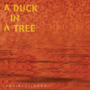 A Duck in a Tree 2012-11-10 | A Box of Fire
