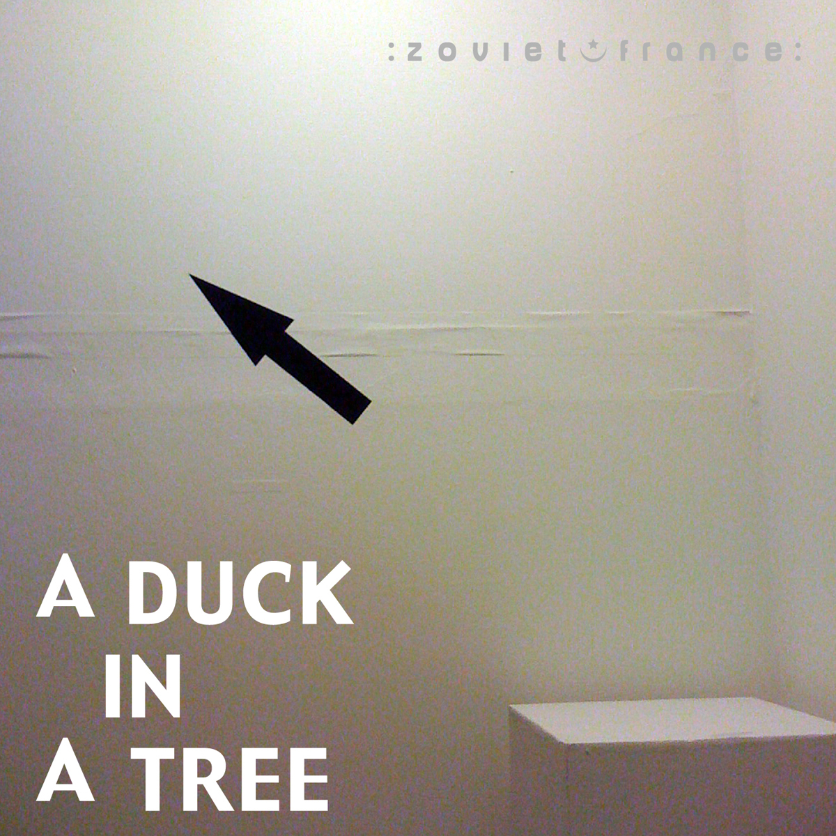 A Duck in a Tree 2012-11-17 | Sightings from a Blind Summit