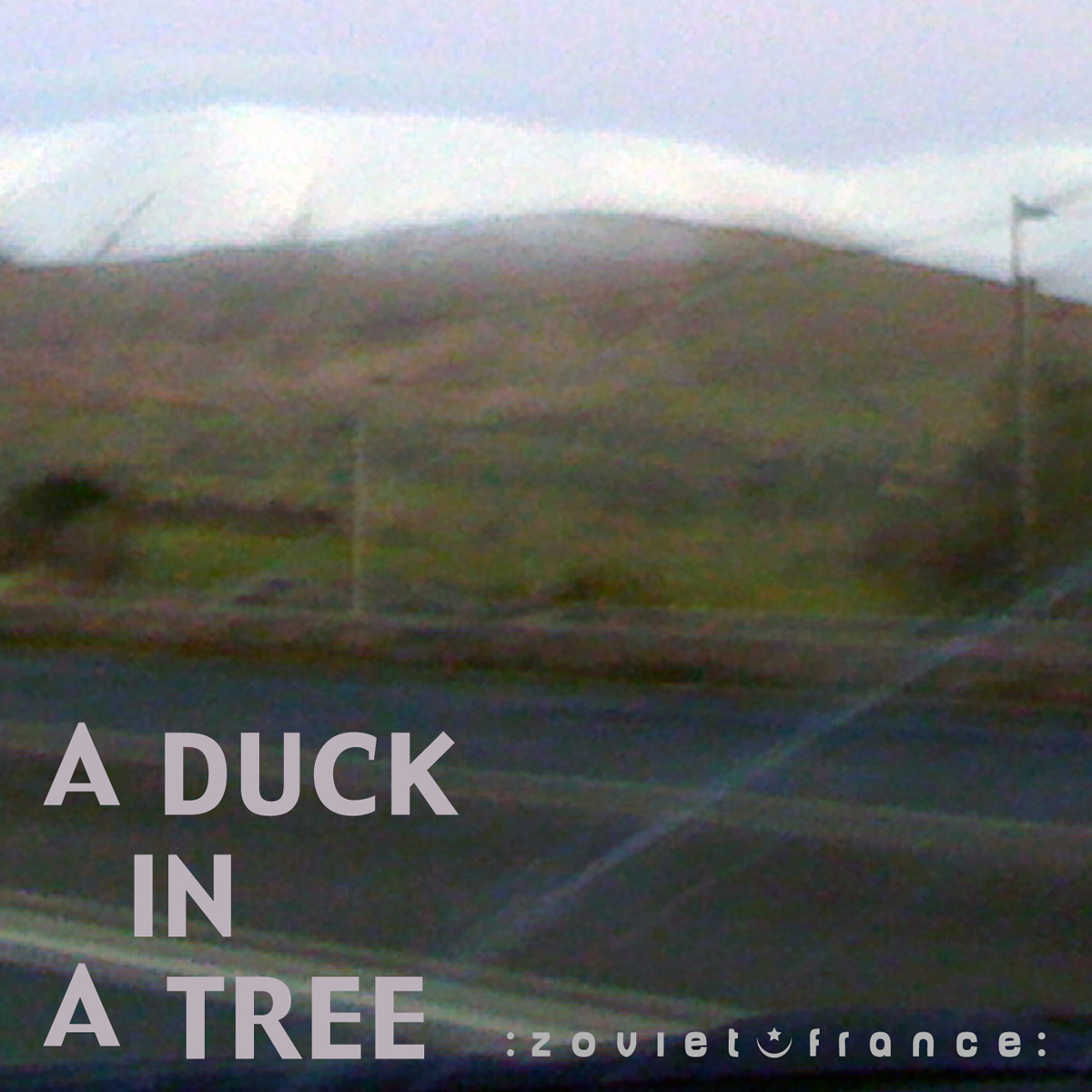 A Duck in a Tree 2012-12-01 | Raised by Border Winds