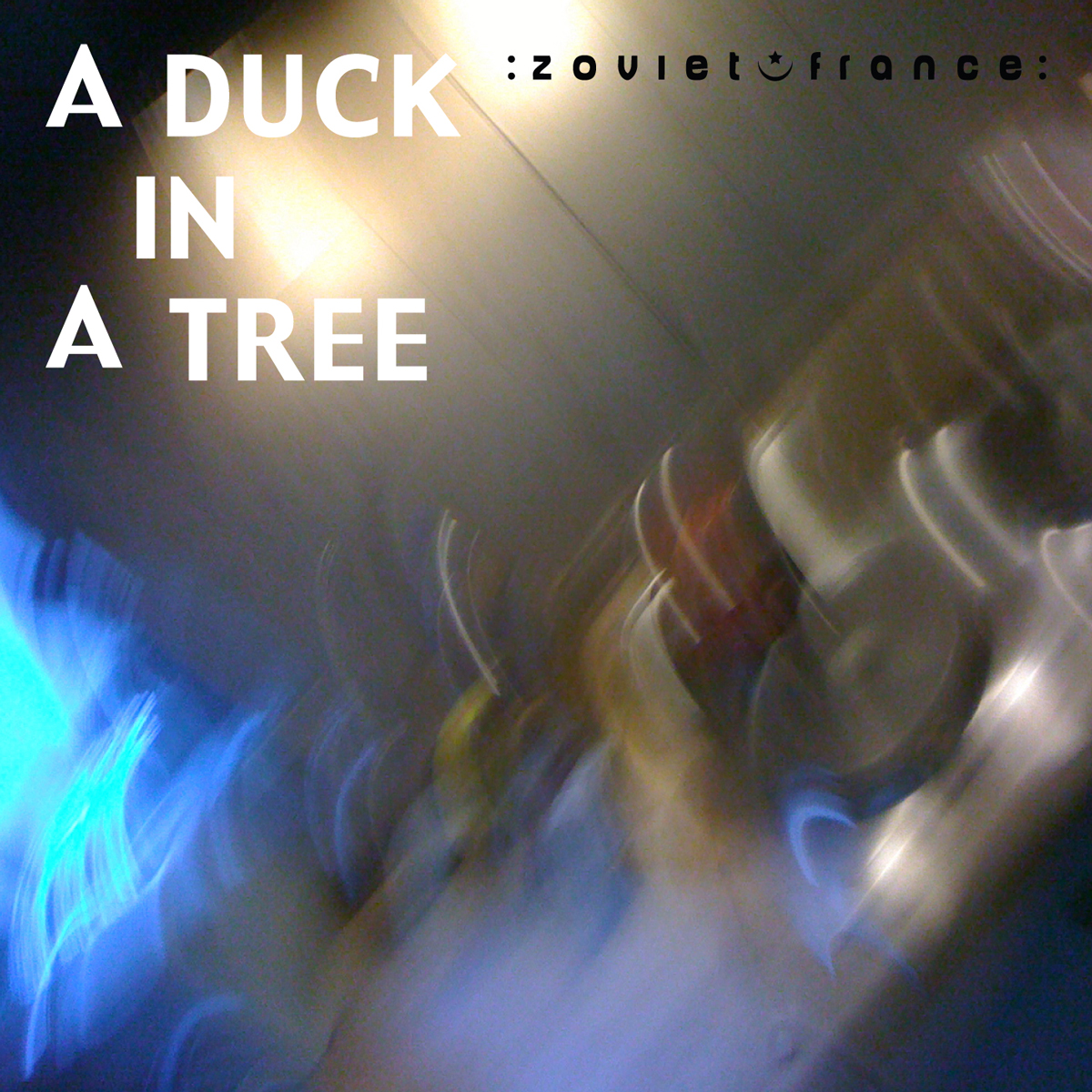 A Duck in a Tree 2012-12-08 | Still the Surface, Captured